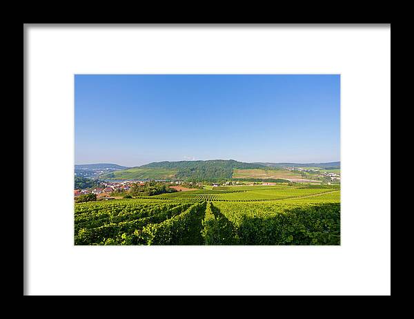 Tranquility Framed Print featuring the photograph Vienyards Near Perl, Mosel River by Werner Dieterich