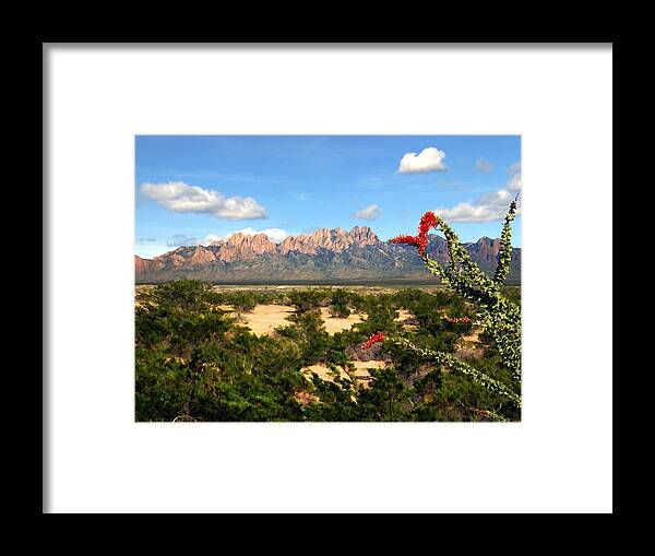 Organ Mountains Framed Print featuring the photograph View from Roadrunner by Kurt Van Wagner
