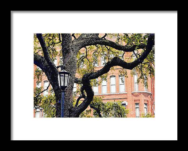 Street Lamp Framed Print featuring the photograph View From The Square by Lydia Holly