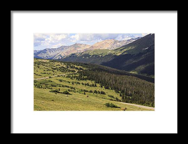 Alpine Framed Print featuring the photograph View from the Trail Ridge Road. by Richard Smith