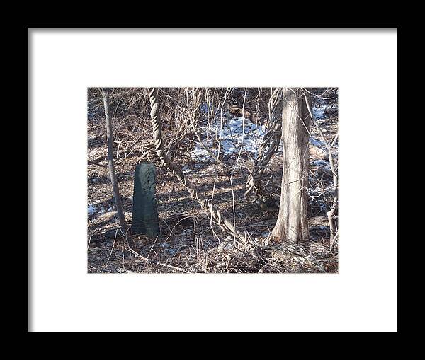 Landscape Framed Print featuring the photograph Vine N'Stone by Robert Nickologianis