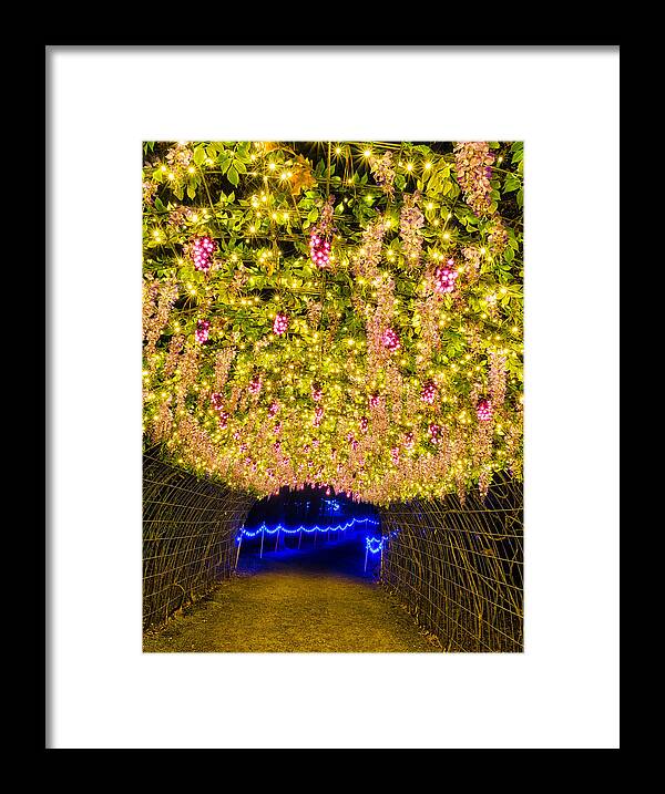 Garvan Framed Print featuring the photograph Vine Tunnel by Daniel George