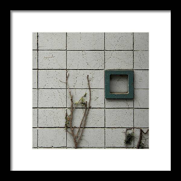 Cinder Block Framed Print featuring the photograph Vinetastic by Lee Harland