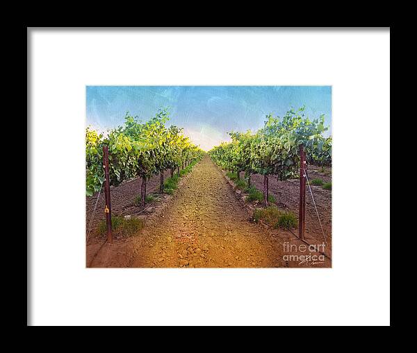 Vineyard Framed Print featuring the photograph Vineyard Road by Shari Warren