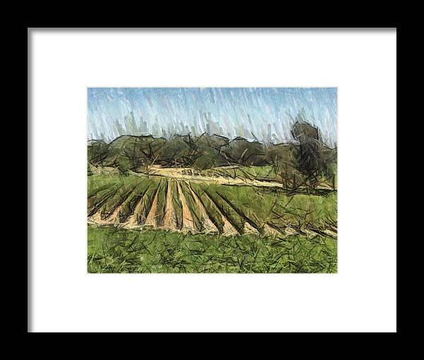 Vineyard Framed Print featuring the digital art Vineyard With Oak by Bud Anderson