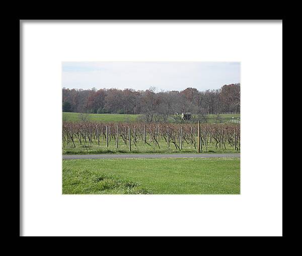 Virginia Framed Print featuring the photograph Vineyards in VA - 121234 by DC Photographer