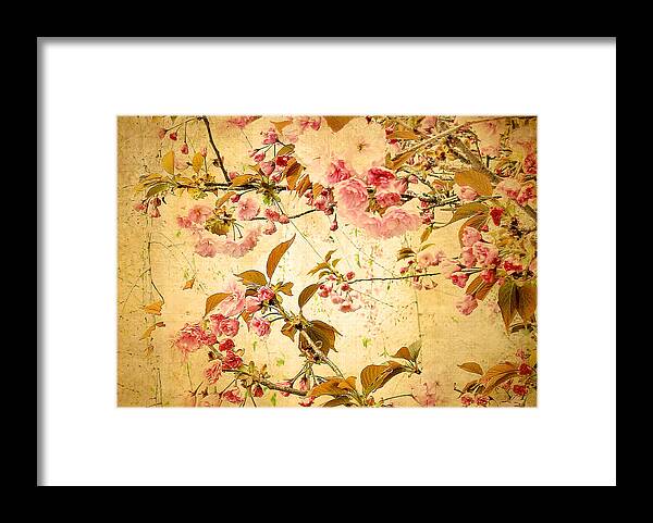 Flowers Framed Print featuring the photograph Vintage Blossom by Jessica Jenney