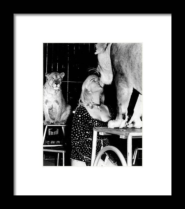 Retro Framed Print featuring the photograph Vintage Circus Lion Love by Retro Images Archive