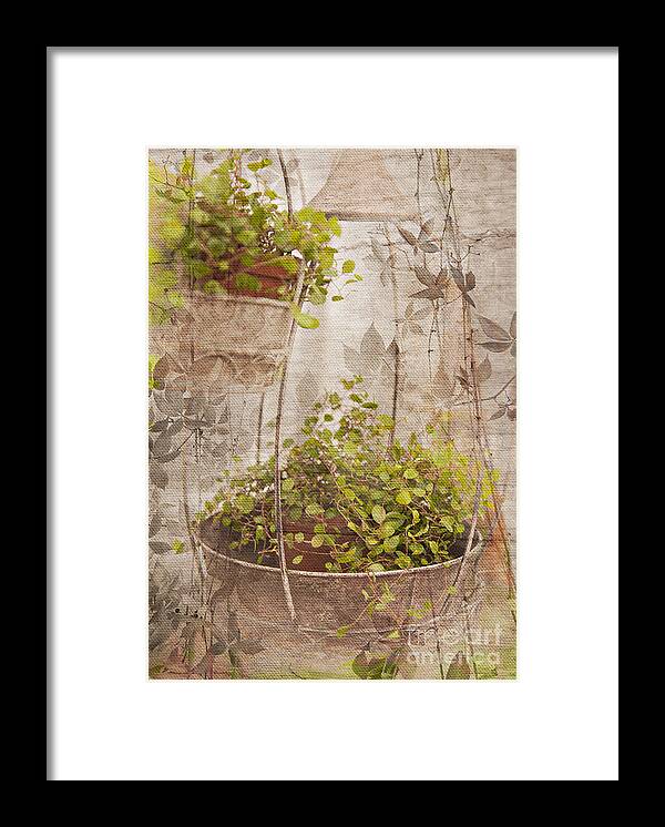 Abrasion Framed Print featuring the digital art Vintage floral print by Sophie McAulay