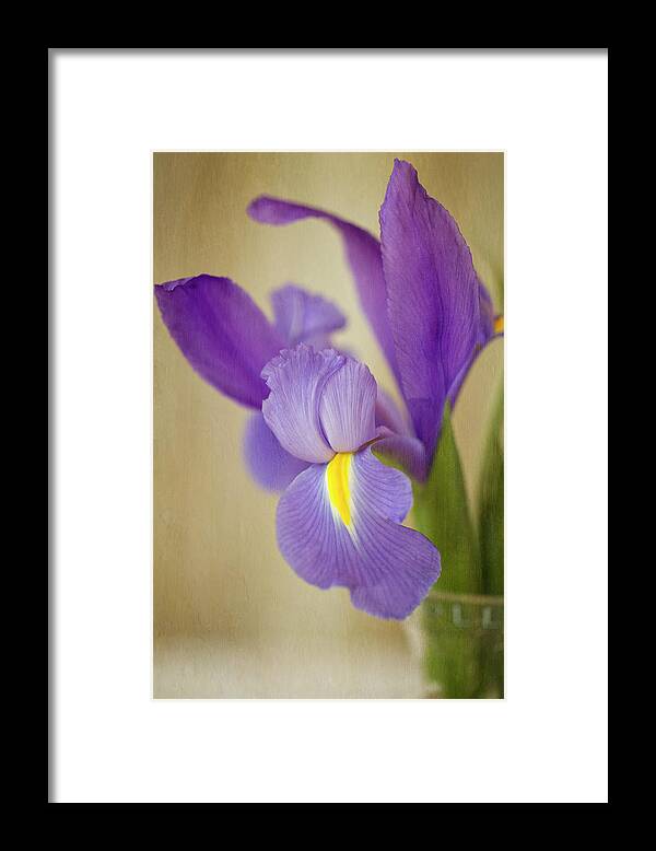 Vase Framed Print featuring the photograph Vintage Iris In Vase by Susangaryphotography