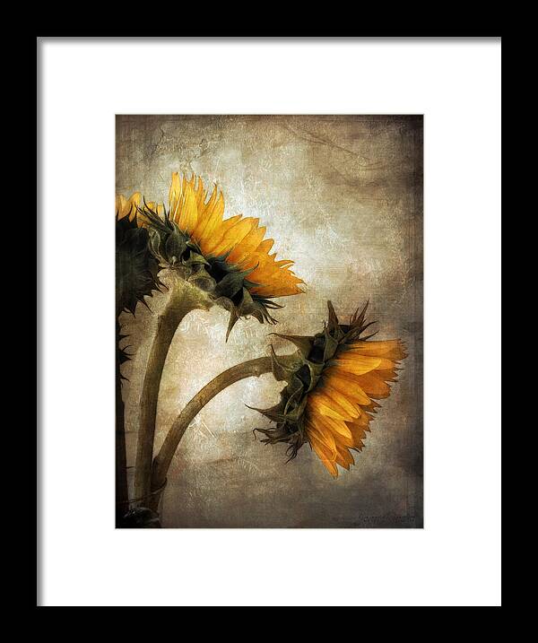 Sunflowers Framed Print featuring the photograph Vintage Sunflowers by John Rivera