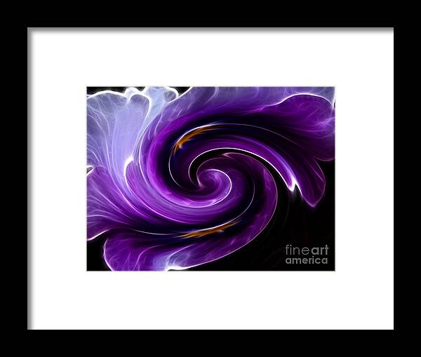 Viola Framed Print featuring the photograph Viola Swirl by Yvonne Johnstone