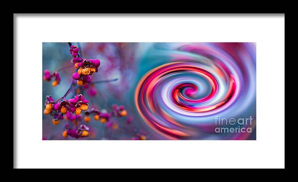 Abstract Framed Print featuring the photograph Violet Fall Blossom Collage by Hannes Cmarits