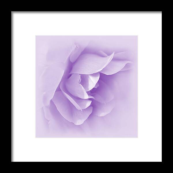 Rose Framed Print featuring the photograph Violet Rose Flower Tranquillity by Jennie Marie Schell