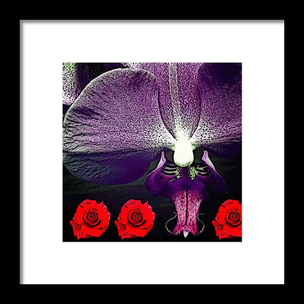 Rose Framed Print featuring the photograph Violette and Roses by Ann Tracy