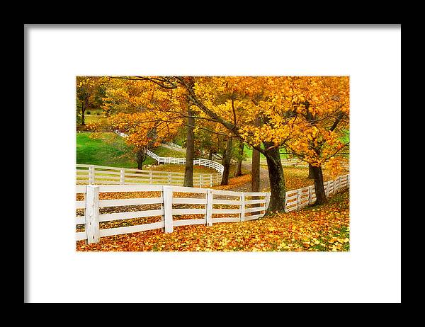 Virginia Horse Country Framed Print featuring the photograph Virginia horse country by Carolyn Derstine