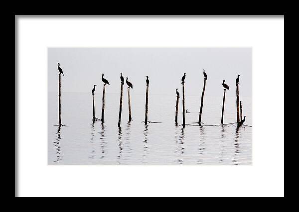 Bay Framed Print featuring the photograph Waiting 2 by Leah Palmer