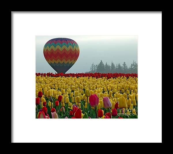 Pacific Framed Print featuring the photograph Waiting For Lift Off by Nick Boren