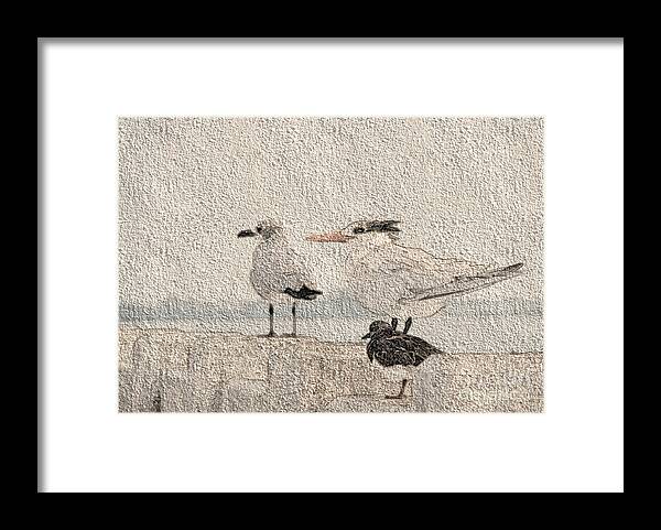 Birds Framed Print featuring the photograph Waiting For Spring by Donna Brown