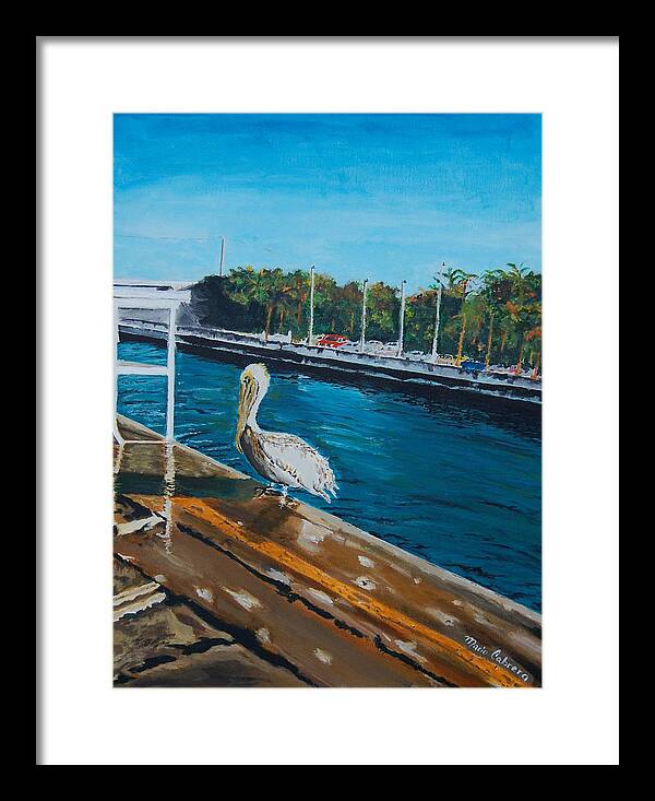 Pelican Framed Print featuring the painting Waiting for the Fisherman by Mario Cabrera