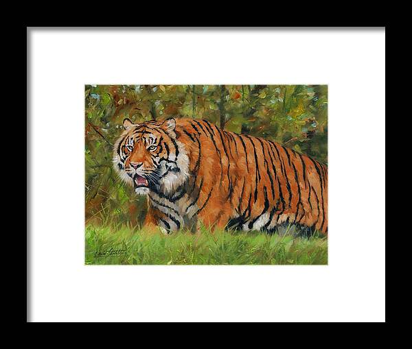 Tiger Framed Print featuring the painting Walk in the Forest. Amur Tiger by David Stribbling