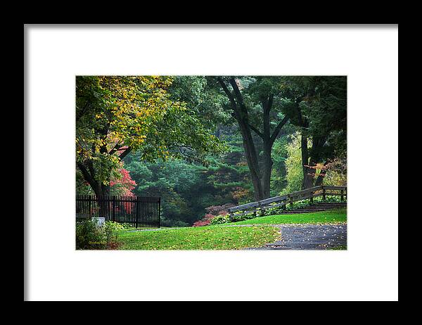 Fall Framed Print featuring the photograph Walk in the Park by Christina Rollo