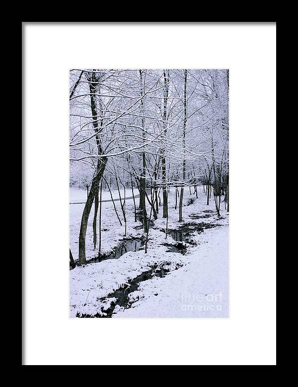 Snow Framed Print featuring the photograph Walk in the Snow by Stan Reckard