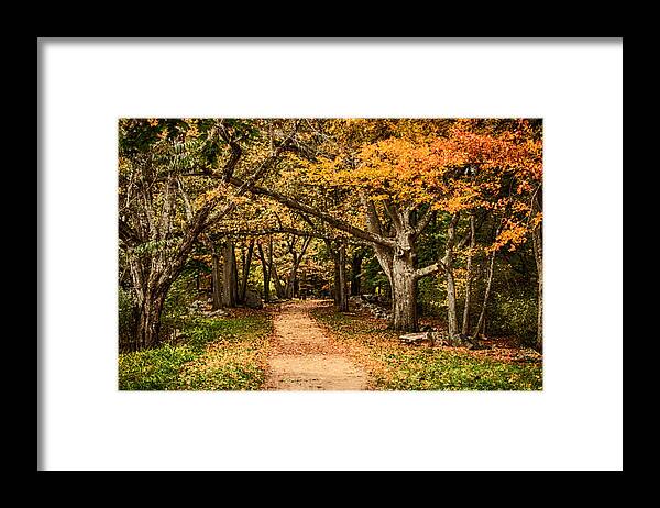 Autumn Foliage New England Framed Print featuring the photograph Walk in the woods by Jeff Folger