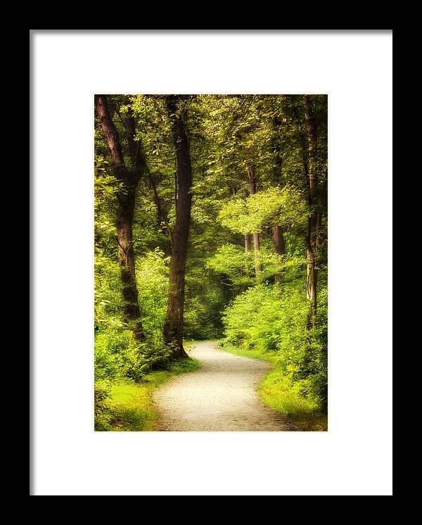 Forest Framed Print featuring the photograph Walk in the Woods by Vicki Jauron