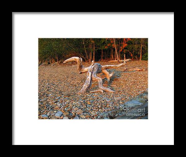 Driftwood Framed Print featuring the photograph Walking On The Beach by Leone Lund