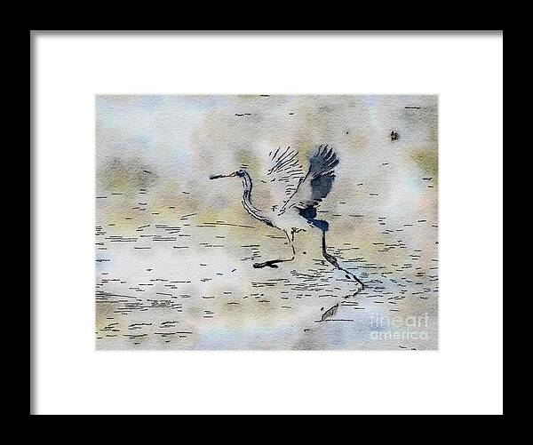 Tricolored Heron Framed Print featuring the photograph Walking on Water - Tricolored Heron by Kerri Farley