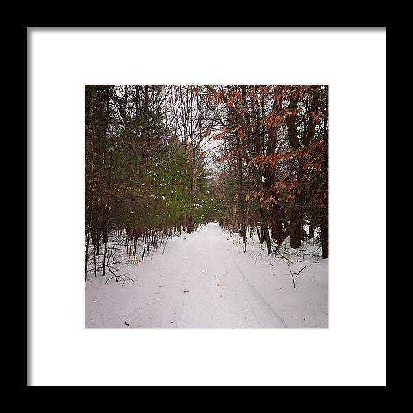 Framed Print featuring the photograph walking Through The Woods On A Snowy by Dan Mason