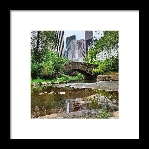 Nyc Framed Print featuring the photograph Walking On Sunshine by Charlie Cliques