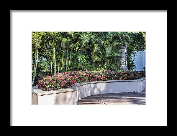 Garden Framed Print featuring the photograph Wall of flowers by Jane Luxton