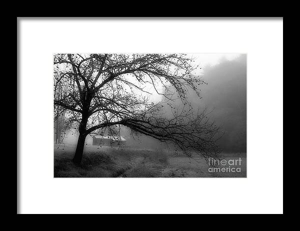 Walnut Tree Framed Print featuring the photograph Walnut Tree Along The Creek by Michael Eingle