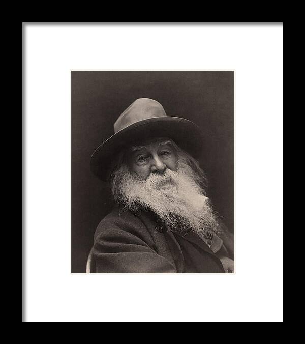 Walt Whitman Framed Print featuring the photograph Walt Whitman 1886 by Mountain Dreams