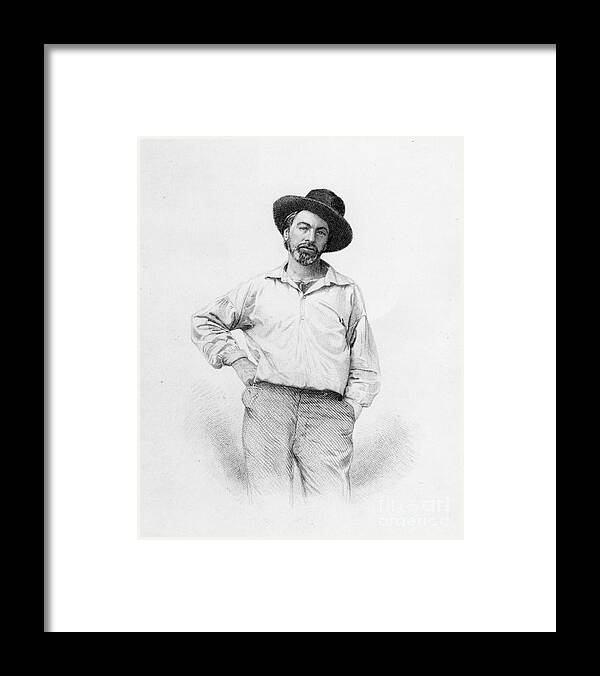 Portrait; Three Quarter Length; Male; Beard; Bearded; Hat; Writer; Author; Hand On Hip Framed Print featuring the drawing Walt Whitman frontispiece to Leaves of Grass by American School