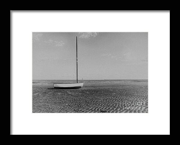 Beach Framed Print featuring the photograph Washed Ashore 2 by Rick Kuperberg Sr