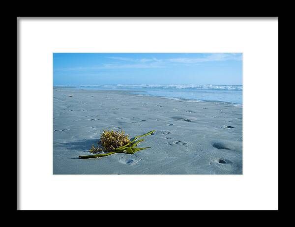 Sand Framed Print featuring the photograph Washed Ashore by Jerry Hart