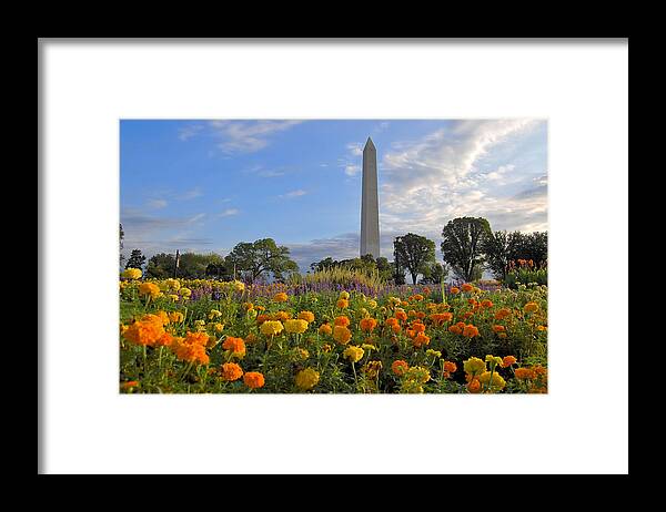 Washington Monument Framed Print featuring the photograph Washimgtom Monument in Spring by Michael Donahue
