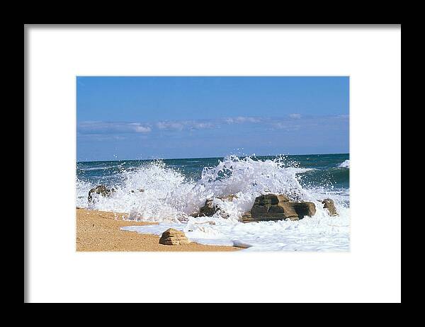 Beach Framed Print featuring the photograph Washington Oaks State Park, Fla by Millard H. Sharp