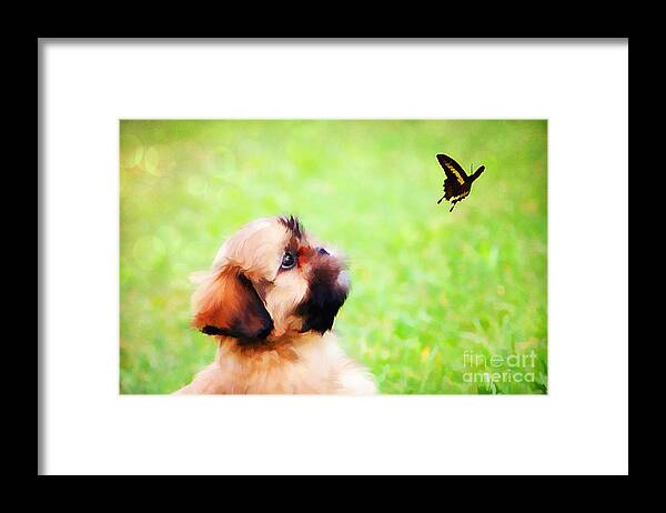 Adorable Framed Print featuring the photograph Watching Butterflies by Darren Fisher