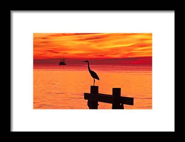 Dawn Framed Print featuring the photograph Watching the Dawn by Brian Wright