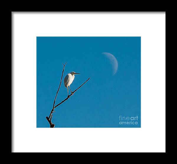 Landscape Framed Print featuring the photograph Watching the moon by Charles Garcia