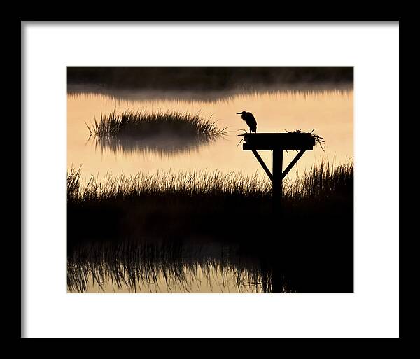 Heron Framed Print featuring the photograph Watchtower Heron Sunrise Sunset Image Art by Jo Ann Tomaselli