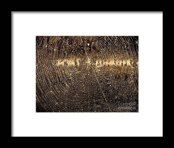 Spider Framed Print featuring the photograph Water Droplets on Spiderweb by John Harmon