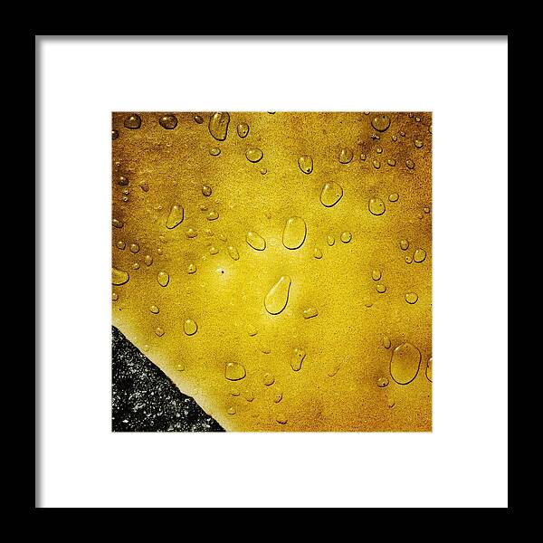 Water Framed Print featuring the photograph Water Drops by Anne Thurston