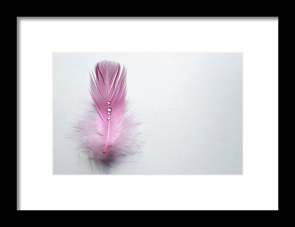 Tranquility Framed Print featuring the photograph Water Drops On Feather by Gregoria Gregoriou Crowe fine art and creative photography.