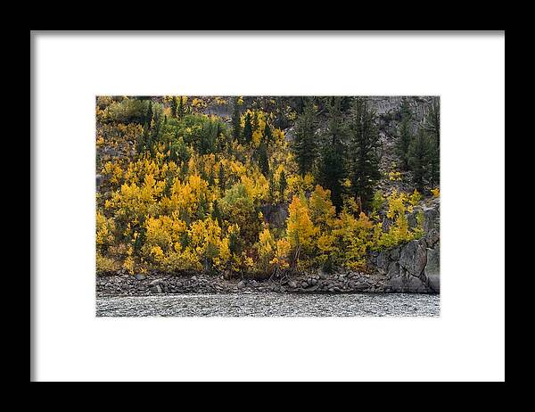 Yellow Framed Print featuring the photograph Water Granite and Trees by Cat Connor