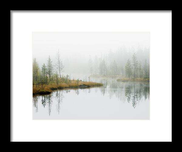 Scenics Framed Print featuring the photograph Water In Forest by Roine Magnusson